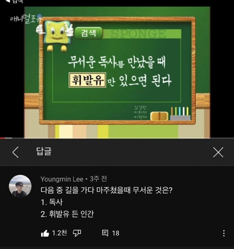 독사를 만났을 때 대처법