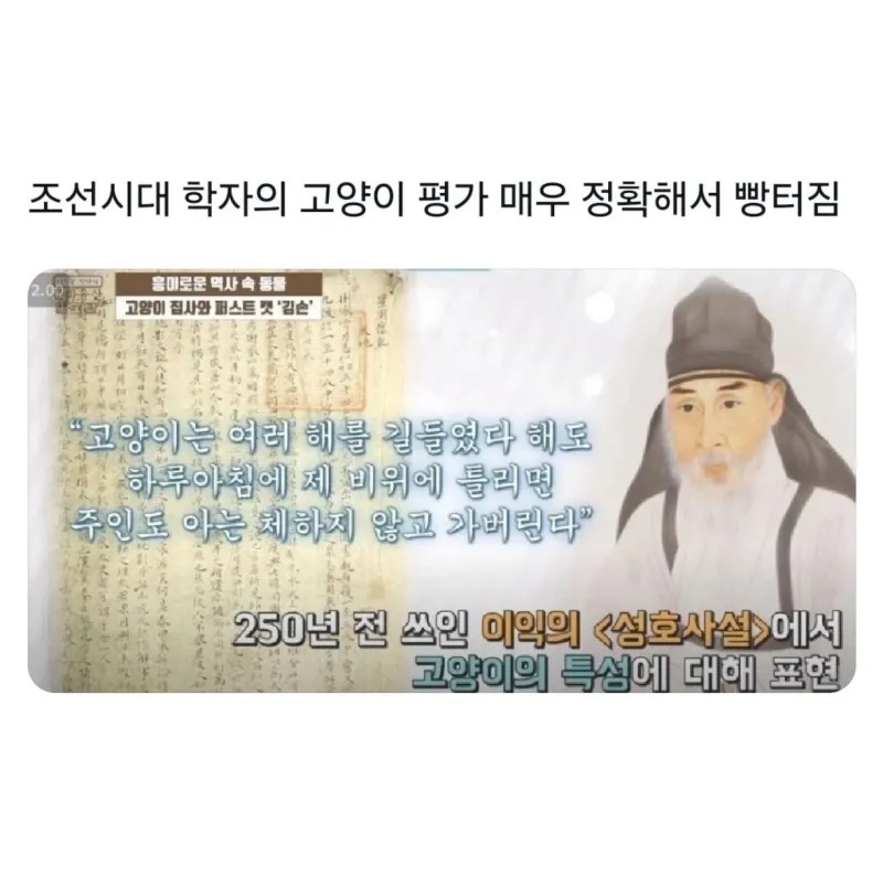 조선시대 학자의 고양이에 대한 평가