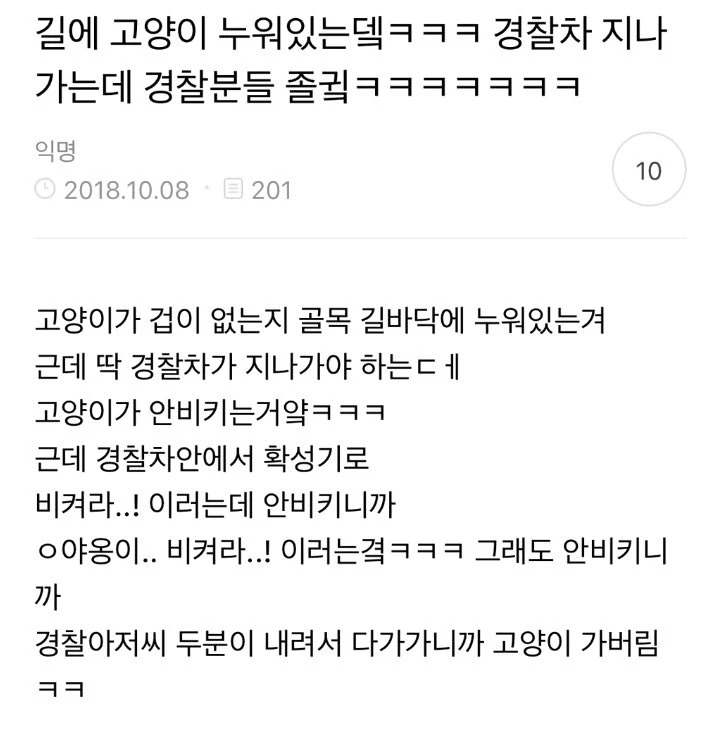 아..! 아..! 야옹이 비켜라.! 