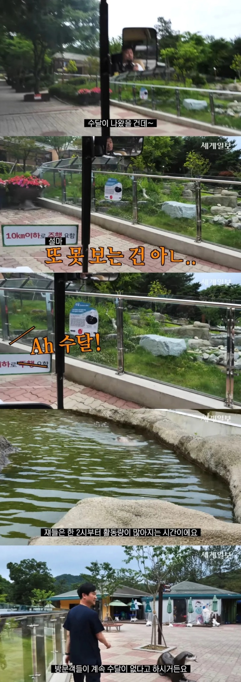 자연친화적으로 운영한다는 동물원 (청주동물원)