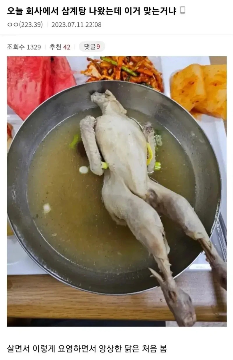 회사에서 특식으로 삼계탕 나온 디씨인.dc