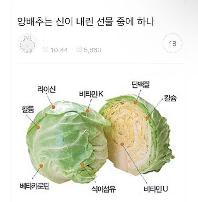 신이 내린 선