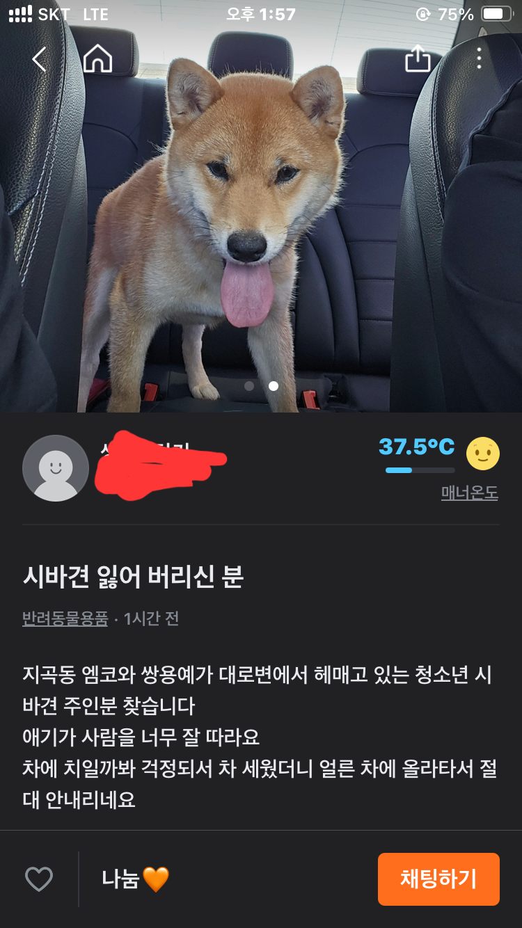 시바견 잃어버리신분! 당근당근 