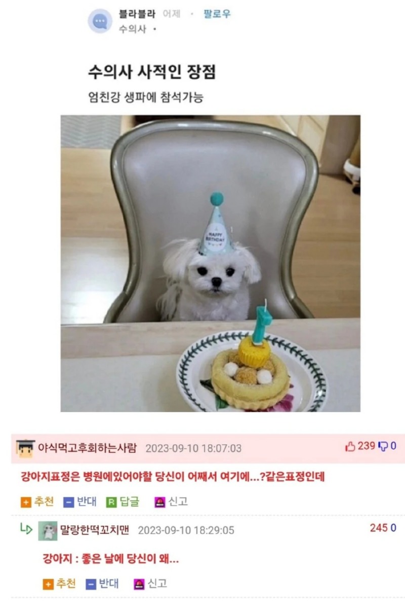 수의사의 가장 큰 장점 