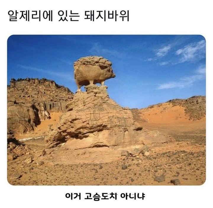 알제리의 돼지바위
