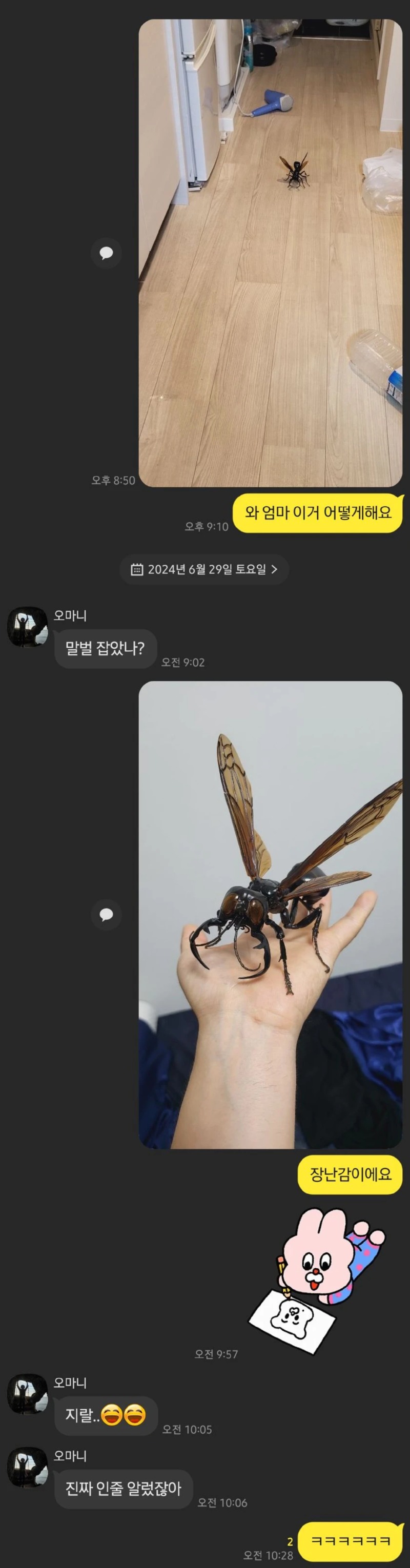 엄마! 집에서 말벌 나왔어....