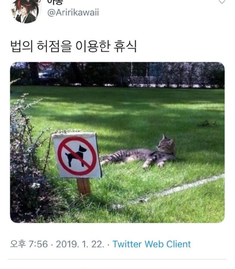 강아지 출입금지입니다. 