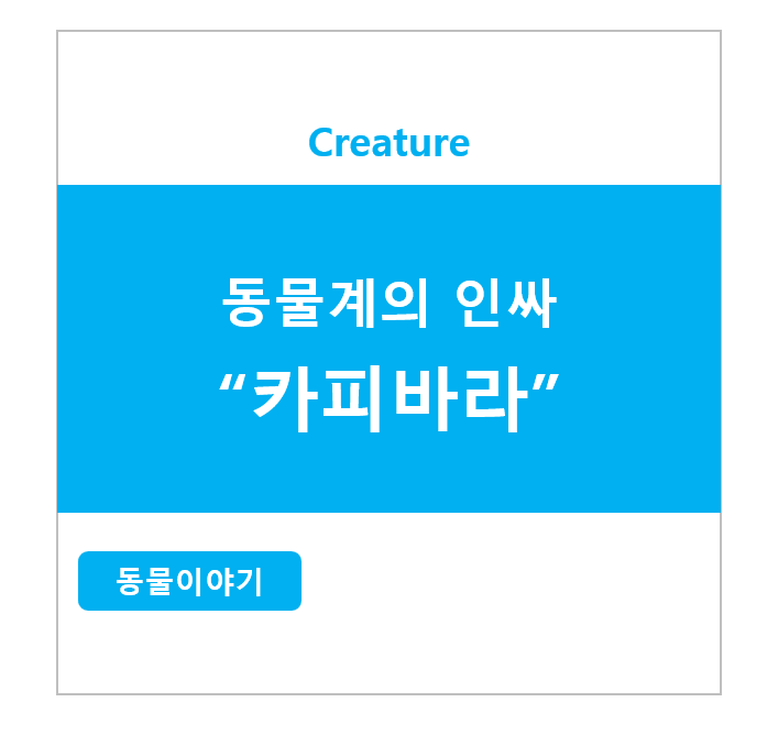 동물계의 인싸 카피바라