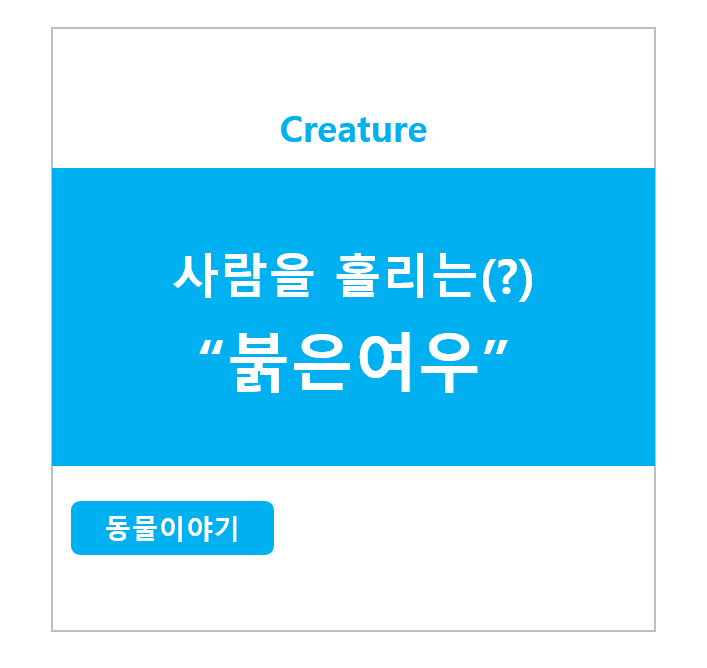 사람을 홀리는(?) 붉은여우