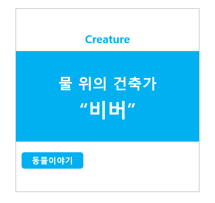 물 위의 건축가 비버