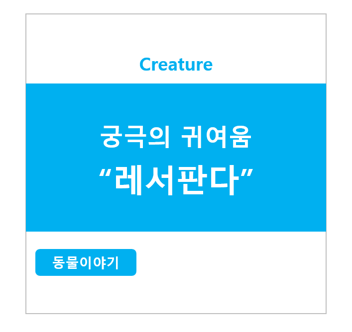 궁극의 귀여움 레서판다