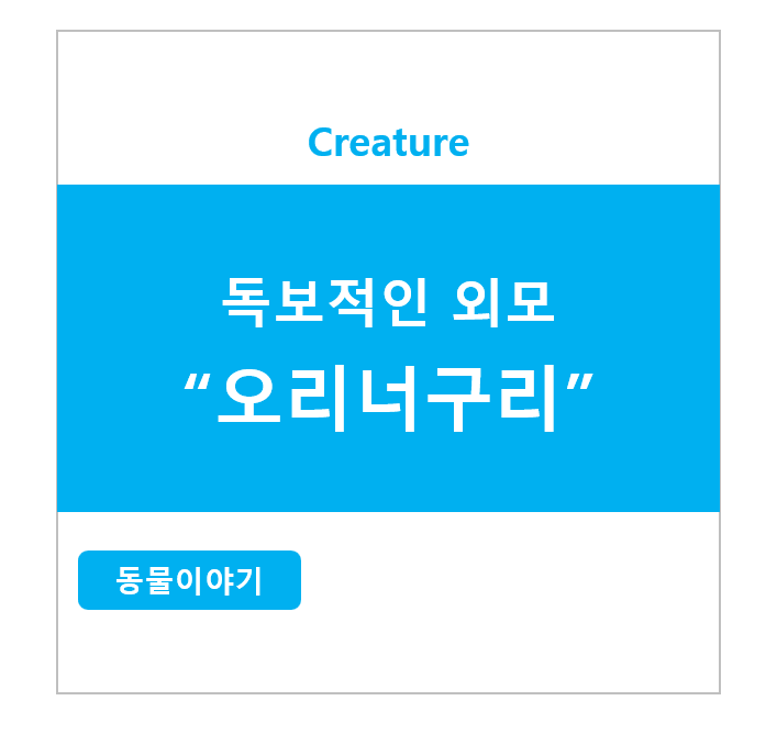 독보적인 외모 오리너구리