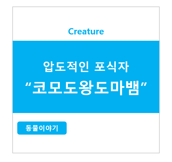 압도적인 포식자 코모도왕도마뱀