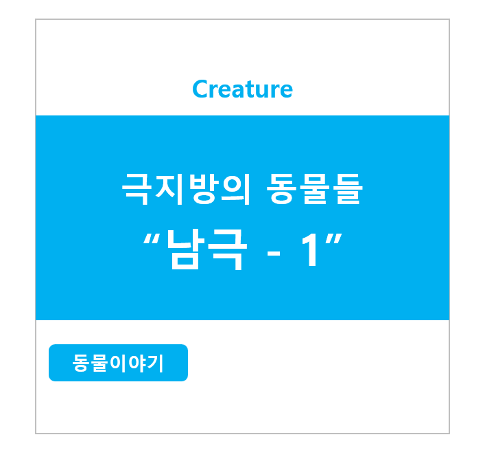 극지방의 동물들 ) 남극 - 1