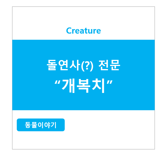 돌연사(?) 전문 개복치