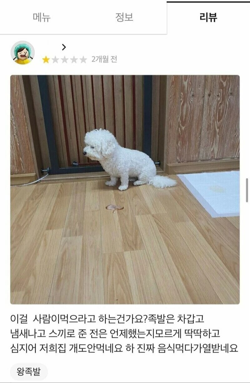개도 안 먹는다는 완벽한 예시