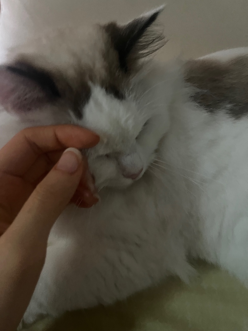 아침이 좋은 이유