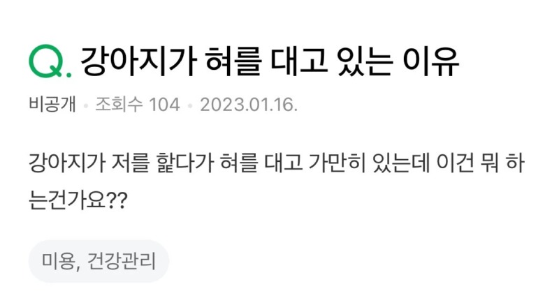 강아지가 혀를 대고 있는 이유 