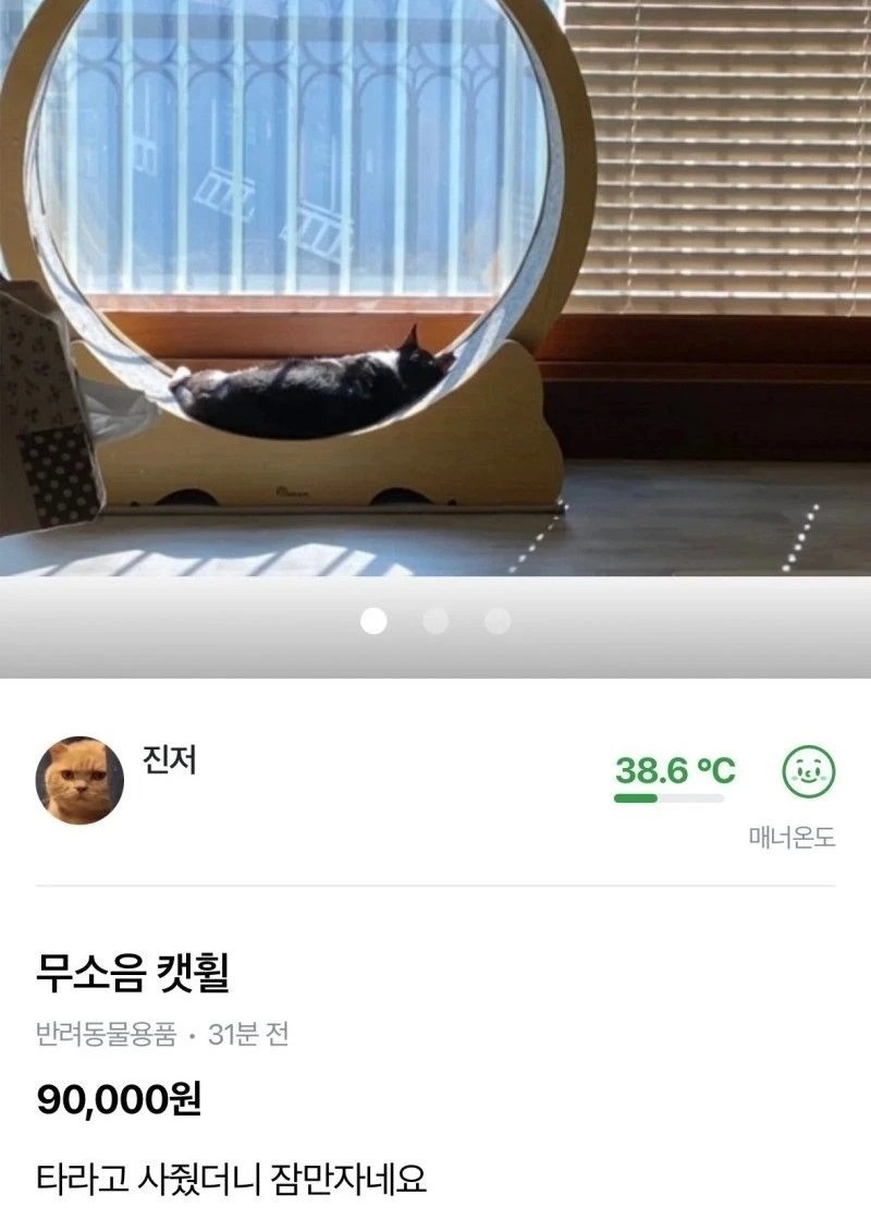 당근마켓에 올라온 캣휠