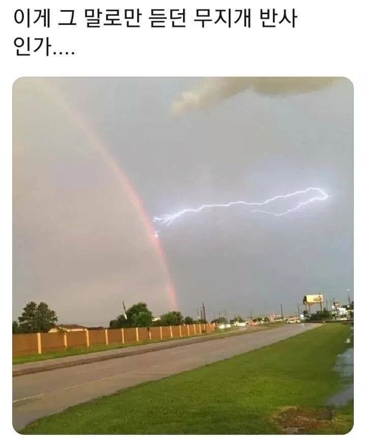 말로만 듣던 무지개반사