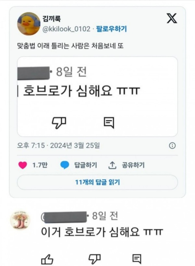 맞춤법 신흥 강자
