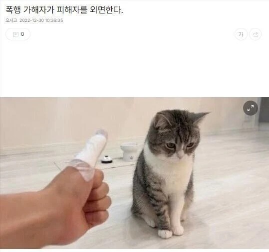 피해자를 외면하는 폭행 가해자 