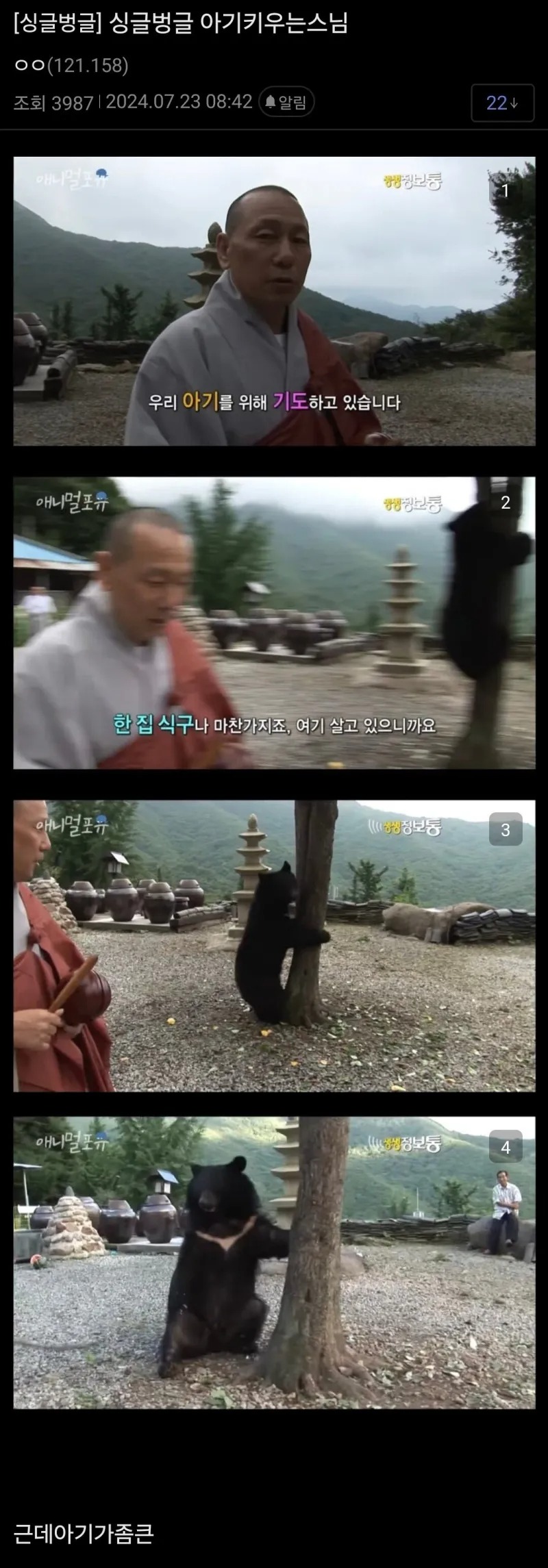 아기 키우는 스님