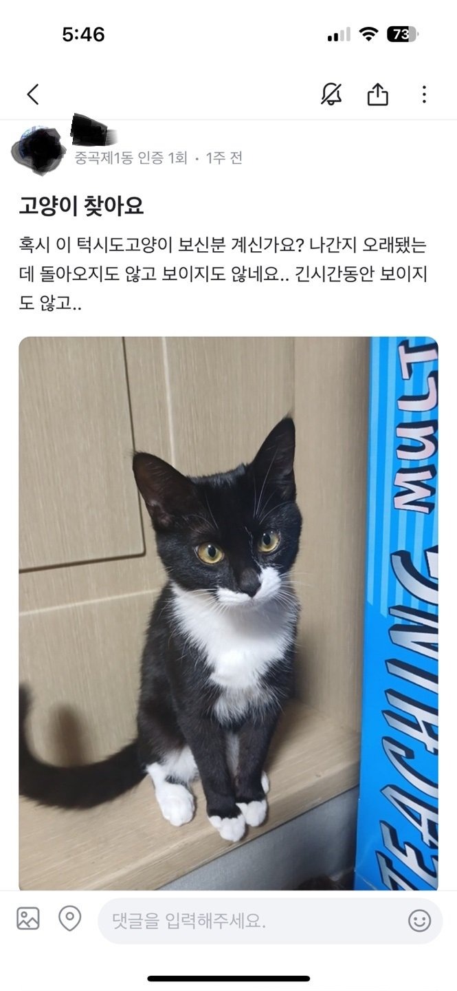 아주 나쁜 고양이 유기범 