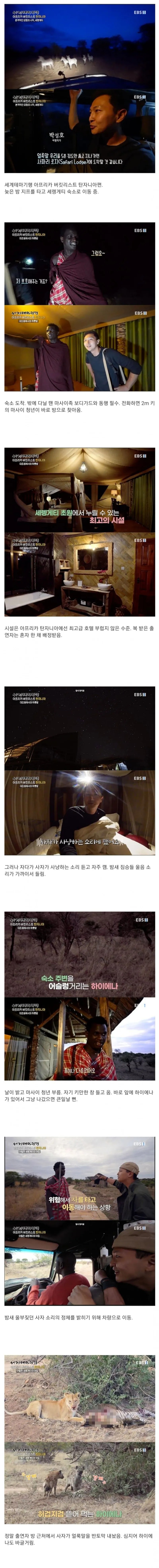 1박에 100만원 이라는 세렝게티의 럭셔리숙소