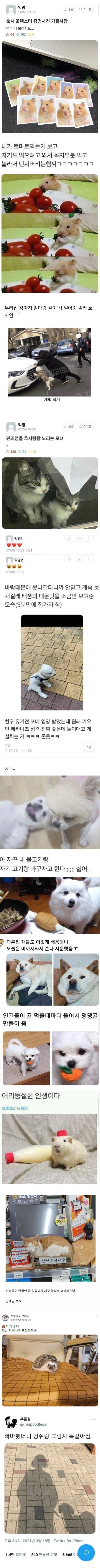 동물 유머자료 모음집 