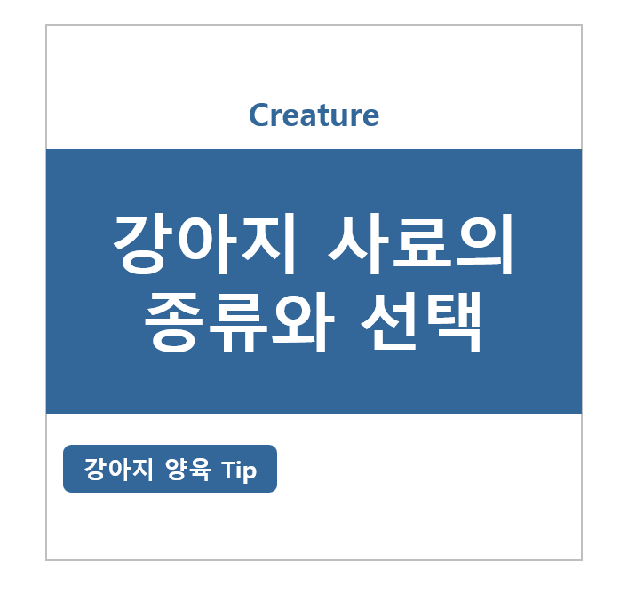 강아지 사료의 종류와 선택