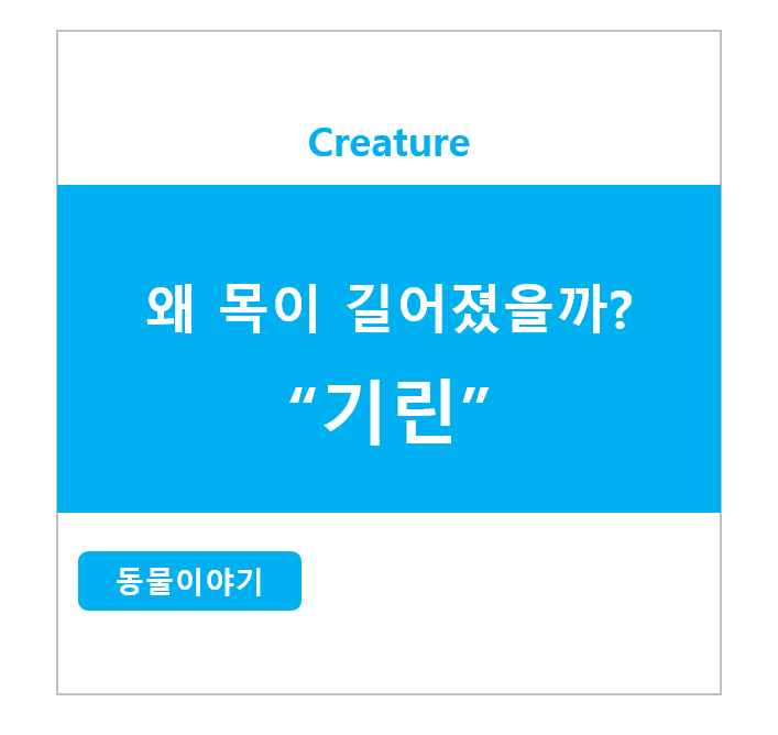 왜 목이 길어졌을까? 기린