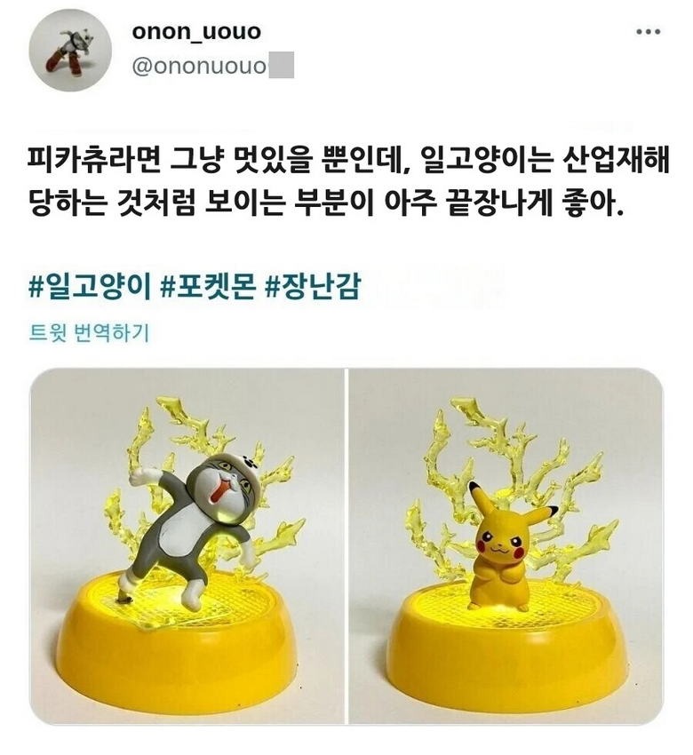 중소냥이와 피카츄와의 차이점 