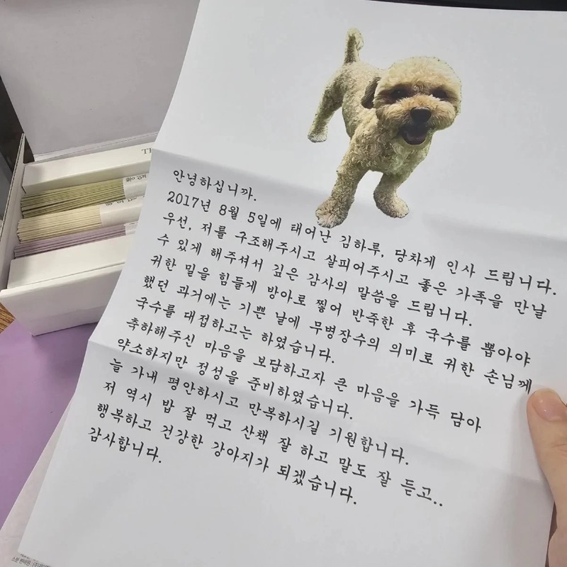 입양간 강아지가 편지를 보내왔다