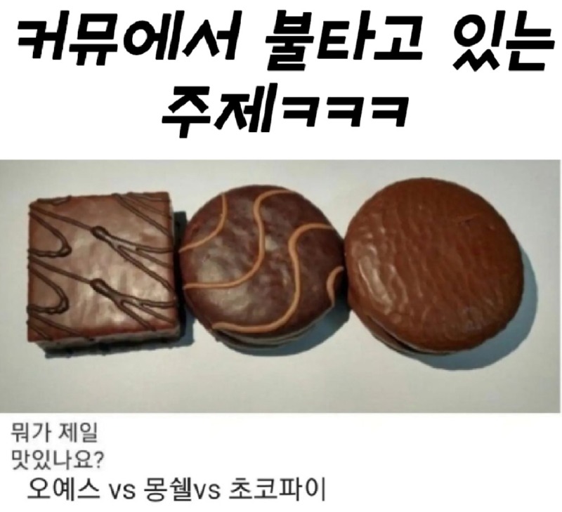 커뮤니티에서 불타고있는 주제