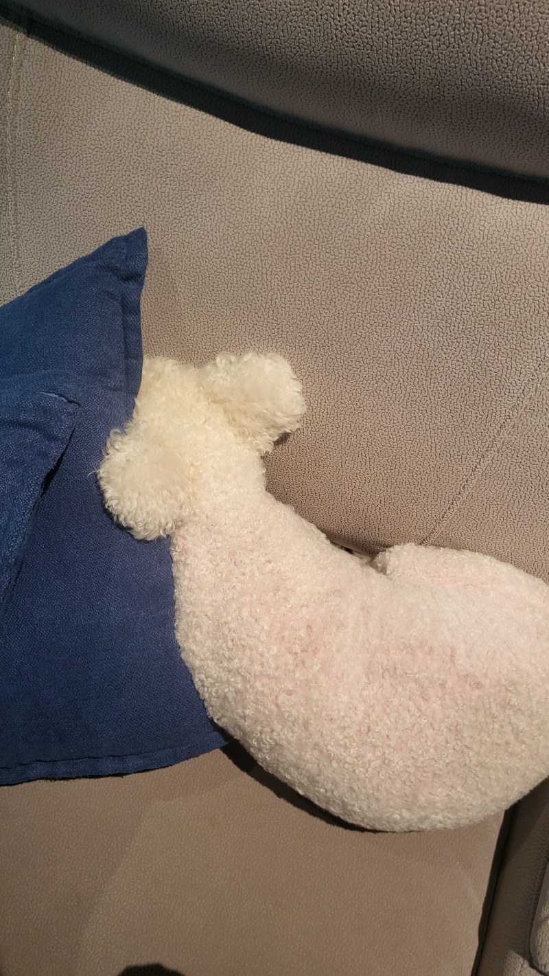 무더위 낮잠
