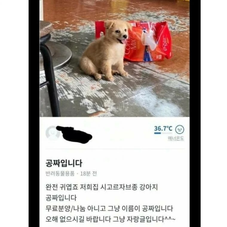 공짜로 당근마켓에 나온....
