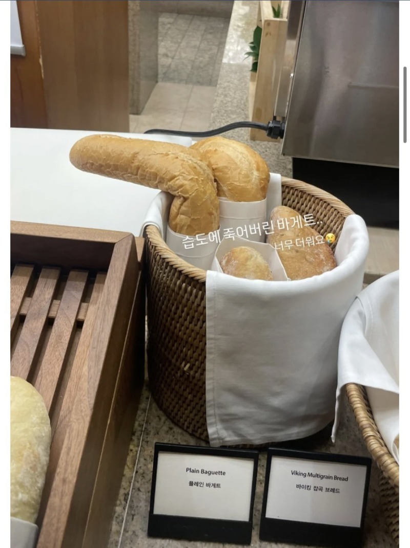 미쳐버린 날씨 근황