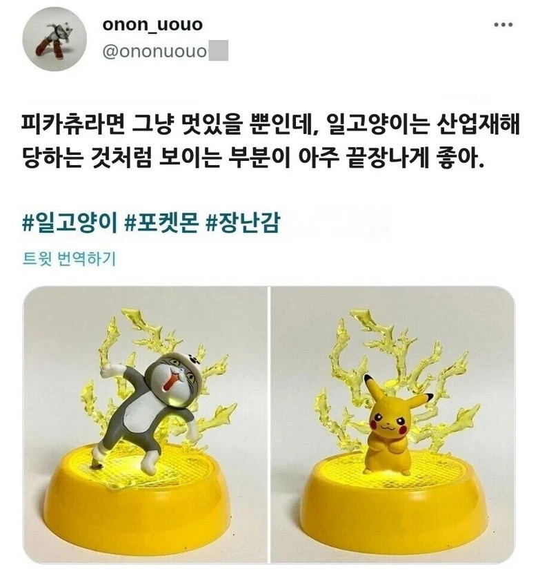 일고양이와 피카츄의 가장 큰 차이점