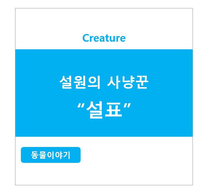 설원의 사냥꾼 설표