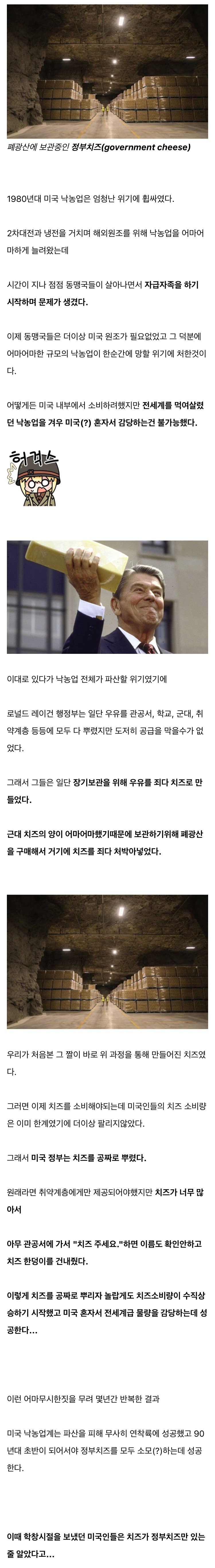 미국 정부가 직접 만든 정부 치즈