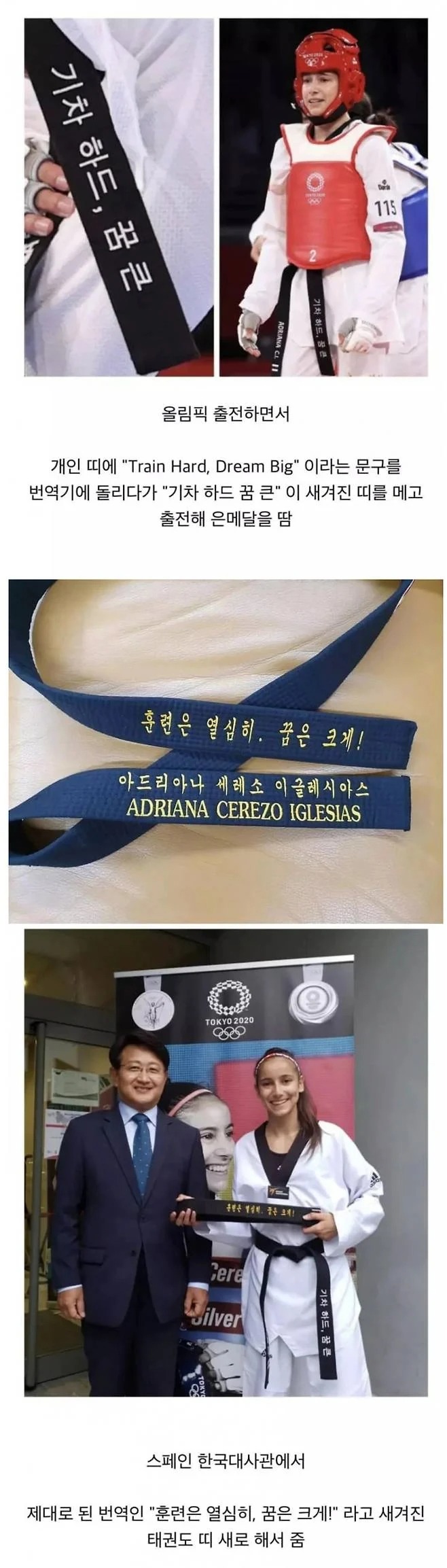 번역기 잘못 돌려서 올림픽 나온 외국 태권도 선수