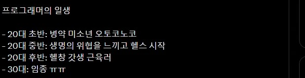 개발자 프로그래머의 일생 타임라인