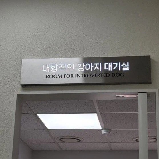 요즘 mz식 동물병원 서비스 