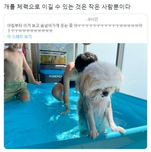 그 유명했던 물놀이개 올해 근황.jpg