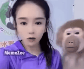 필터보고 뇌정지가 온 원숭이 
