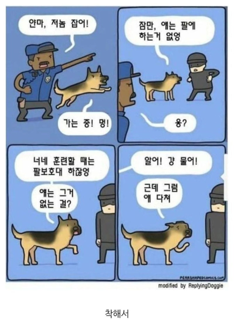 많은 경찰견들이 탈락하는 의외의 이유