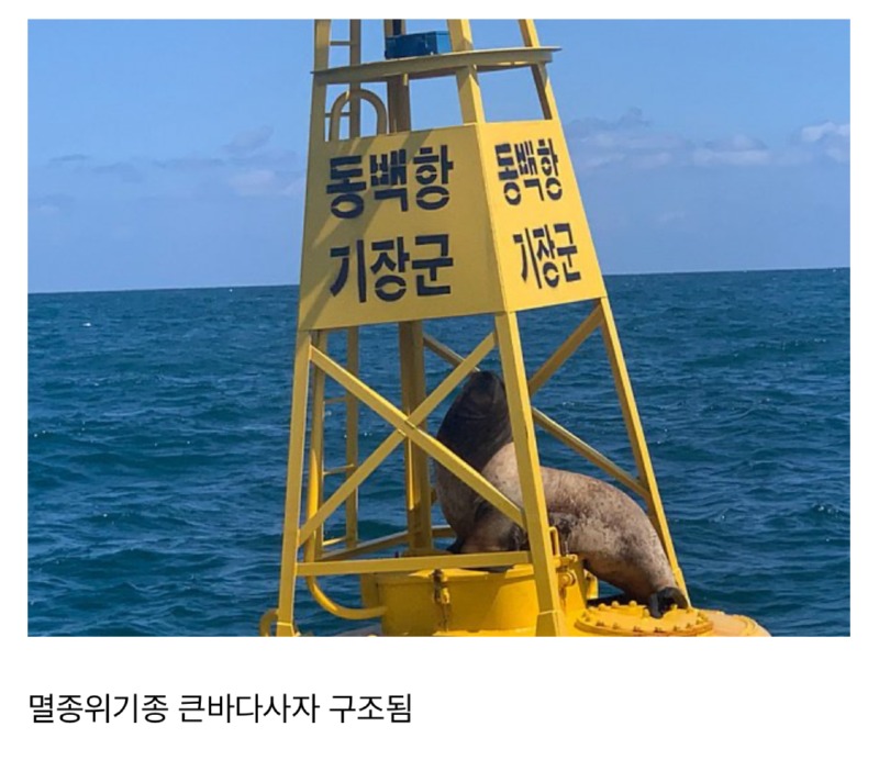 기장군 근황 