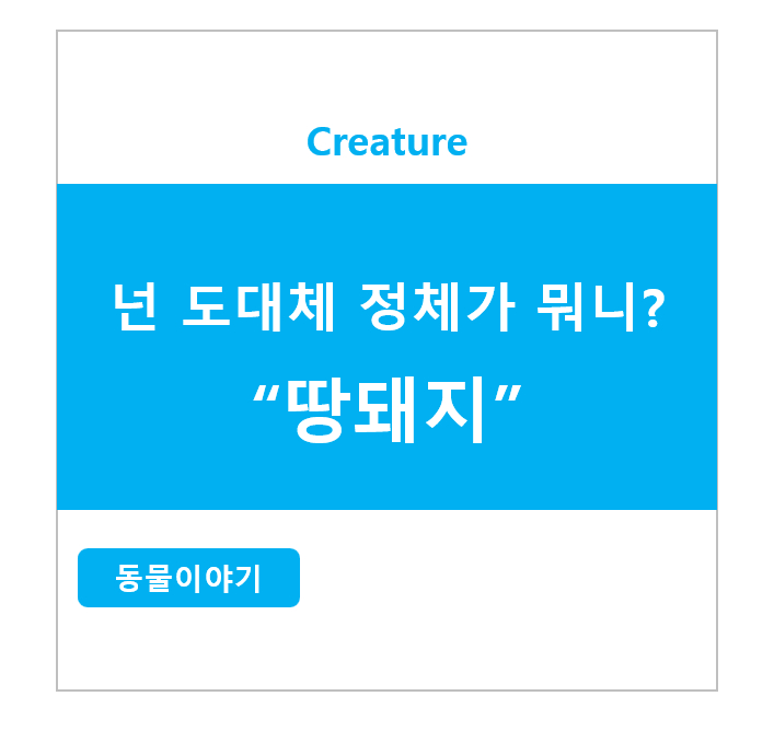 넌 도대체 정체가 뭐니? 땅돼지