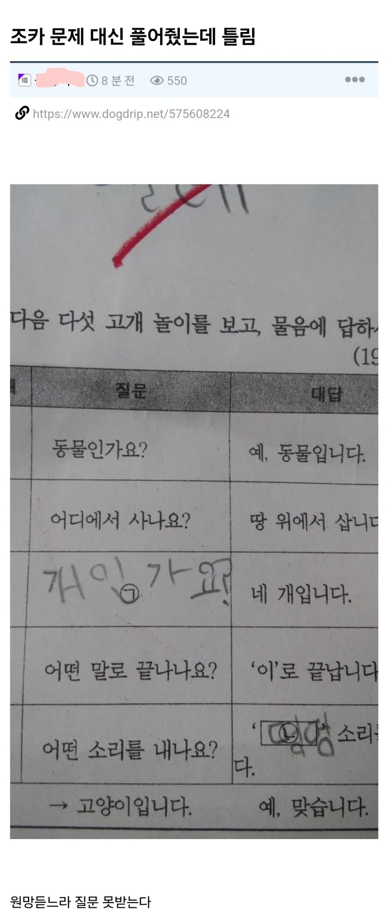 조카 대신 문제 풀어줬는데....
